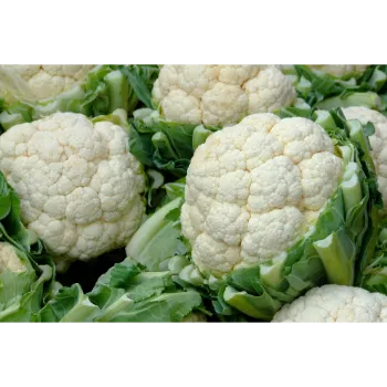 Cauliflower (1)-3713479-73654.webp